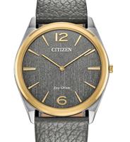 Citizen Watches AR3124-07H